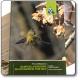  Atlante della Biodiversità dell'Alto Bacino del fiume Oglio (Primo contributo) - volume 1 "Fauna vertebrata" 