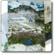  Atlante della Biodiversità dell'Alto Bacino del fiume Oglio - volume 2 "Flora vascolare" 