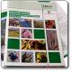  Catalogo Piante del Centro Vivaistico Forestale Regionale di Curno (BG) 