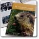  I libri del Parco - 1<br>Il ritorno della marmotta nel Parco delle Dolomiti Friulane 