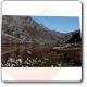 Cartolina "Il Lago Lausetto - Valle Po" - Parco del Po Cuneese 