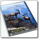  DVD - Lo Stambecco nel Parco Naturale Dolomiti Friulane 