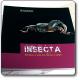  Insecta 