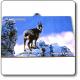  Tavola pergamena Camoscio d'Abruzzo in mdf cm. 10x15 - Parco Nazionale del Gran Sasso e dei Monti della Laga 